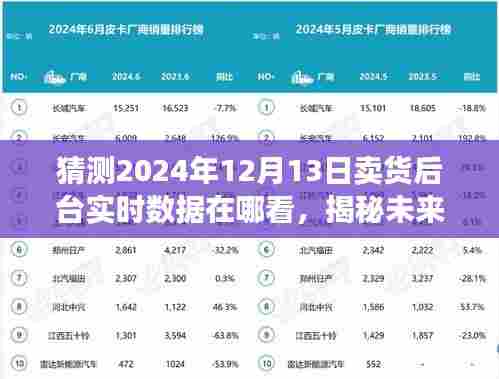 揭秘未来销售数据，洞悉2024年12月13日卖货后台实时数据洞察新动向及查询指南