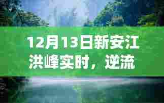 新安江洪峰中的励志故事,逆流而上,学习变化的力量