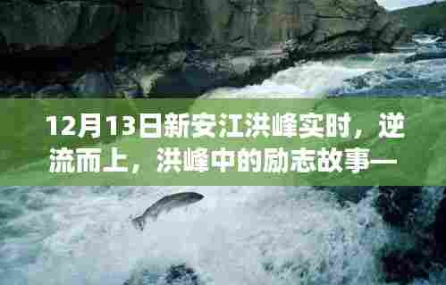 新安江洪峰中的励志故事,逆流而上,学习变化的力量
