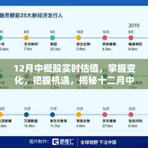 揭秘十二月中概股实时估值，掌握变化，把握机遇的魅力之旅