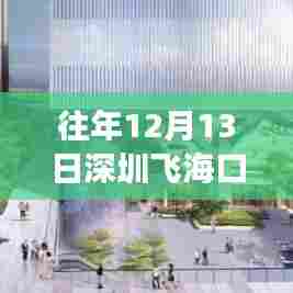 透视往年深圳飞往海口航班动态,航班实时分析与个人观点分享