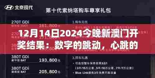 12月14日2024今晚新澳门开奖结果:数字的跳动,心跳的共鸣,新澳门开奖夜。