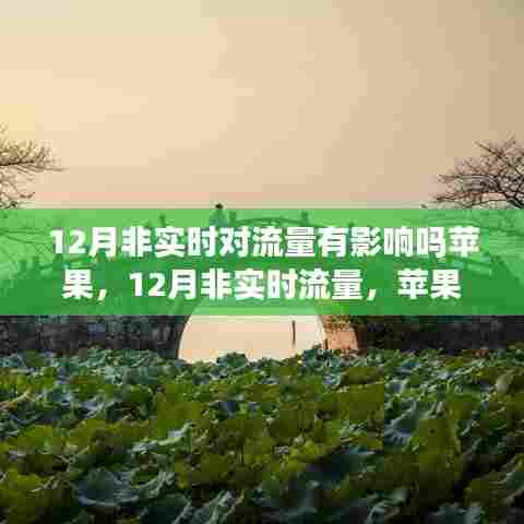 苹果引领下的非实时流量探索，12月流量影响下的自然美景与内心平静之旅