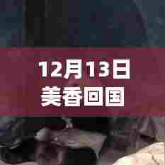美香归国智能追踪启程,实时航班查询开启熊猫归国新纪元