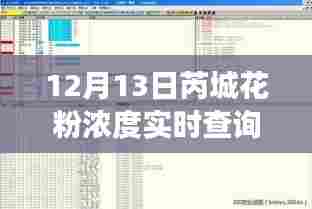 揭秘芮城花粉浓度实时查询背后的故事，深度解读与实时数据解析（12月13日）