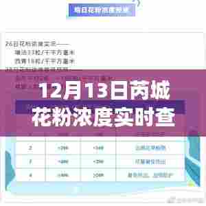 揭秘芮城花粉浓度实时查询背后的故事,深度解读与实时数据解析(12月13日)