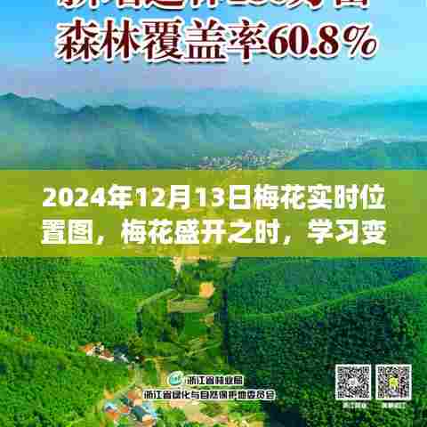 梅花盛开时，自信与成就共舞——2024年梅花实时位置图