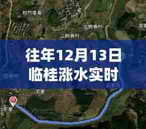 临桂涨水实时观测，新一代智能水位监测仪的魅力与体验之旅