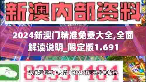 2024新澳门精准免费大全,全面解读说明_限定版1.691