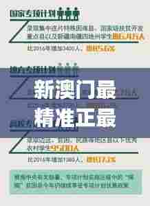 新澳门最精准正最精准龙门350期,权威诠释推进方式_精简版5.183