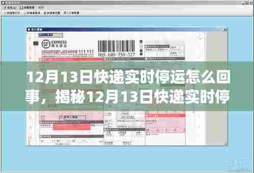 天生丽质 第3页