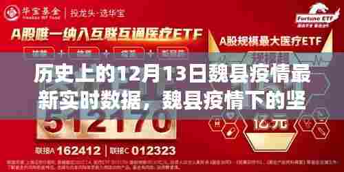 魏县疫情实时数据更新，学习之光照亮坚韧成长之路