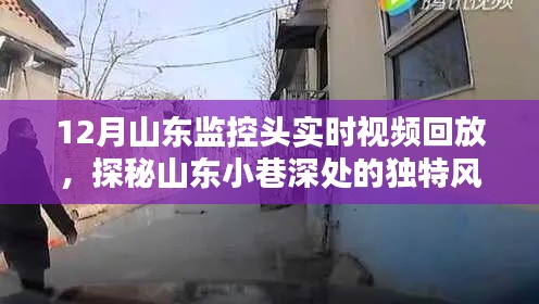 山东小巷深处的独特风情,监控头下的惊喜小店与实时视频回放探秘