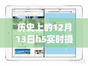 张弓挟矢 第3页