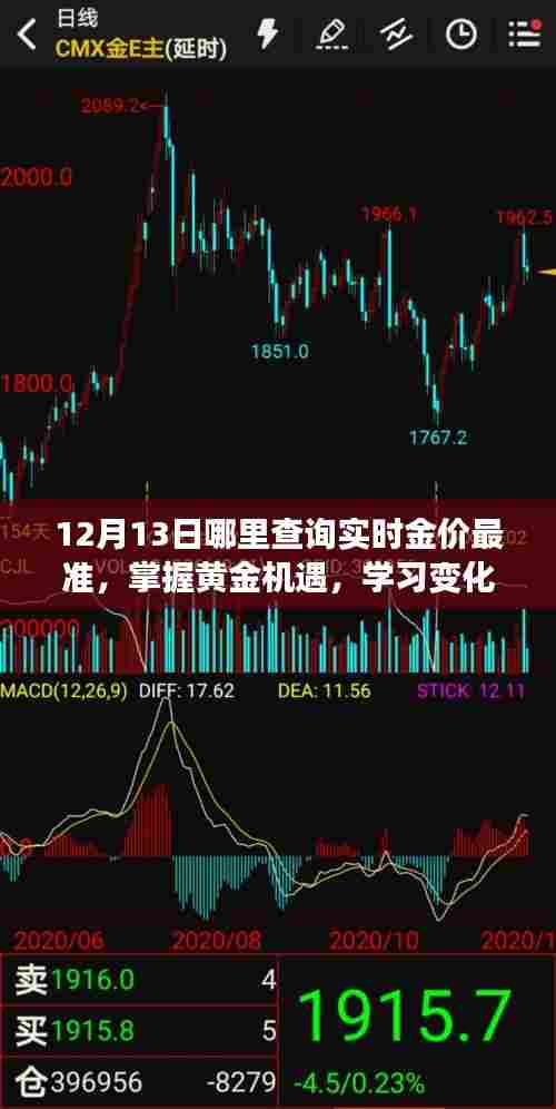 12月13日实时金价查询指南，把握黄金机遇，洞悉变化，展现自信