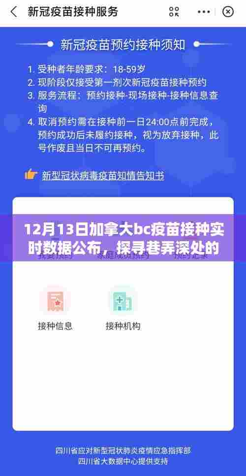 加拿大BC疫苗接种实时数据与巷弄深处独特魅力的探寻，特色小店的奇妙逅遇