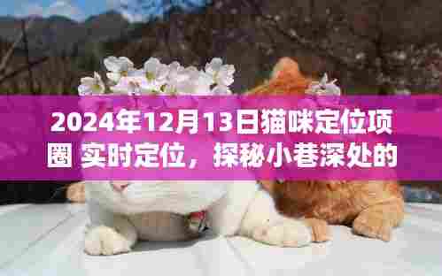 实时定位猫咪乐园，守护喵星人的时尚定位项圈，探索小巷深处的猫咪世界