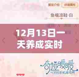 实用步骤指南，新手与进阶用户都能在12月13日掌握实时号养成技巧！