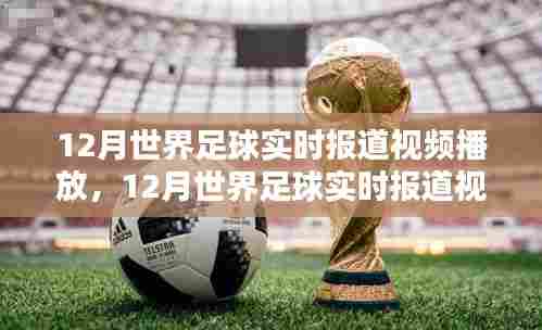 12月世界足球实时报道视频播放，全面评测与介绍产品专题