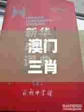 澳门三肖三码精准100%新华字典,精选解读100%精准_经典款4.258