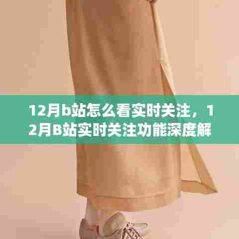 深度解析,12月B站实时关注功能,观看指南与我的观点