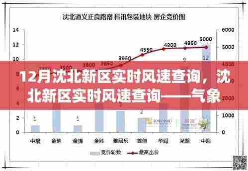 沈北新区实时风速查询，气象数据深度探索之旅