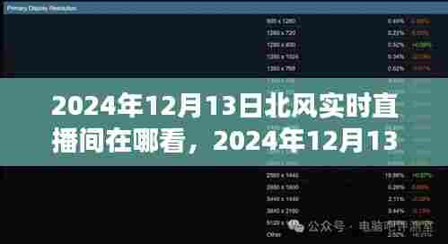 2024年12月13日北风直播间观看指南，热议与探讨的实时直播
