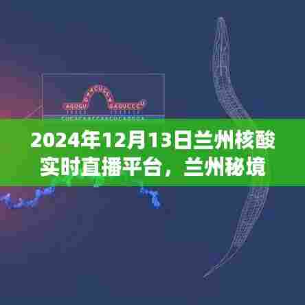 兰州秘境探秘，核酸实时直播平台的心灵之旅