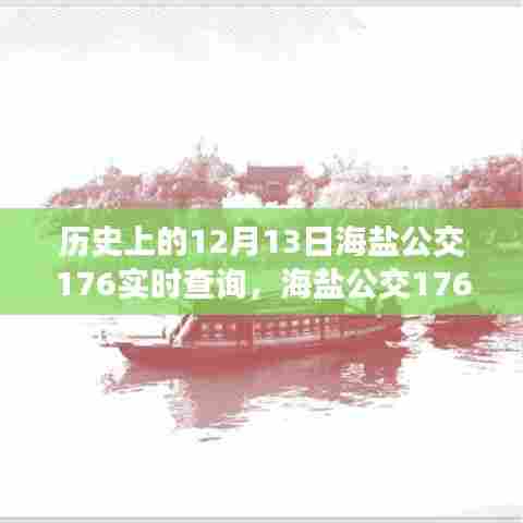 海盐公交176实时查询攻略，历史与现今查询技巧全掌握（初学者与进阶用户适用）