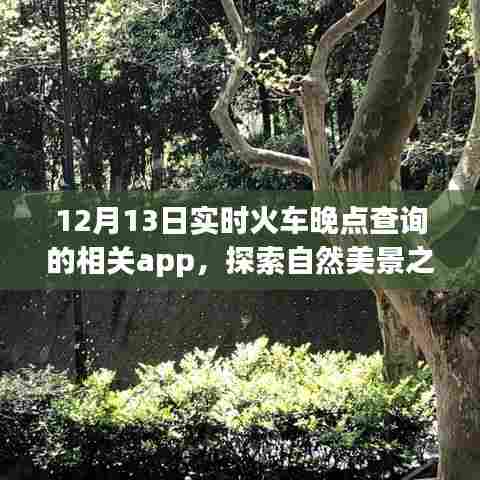 12月13日实时火车晚点查询App，自然美景之旅的贴心助手