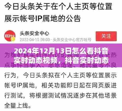 如何观看抖音实时动态视频,观察与反思在2024年12月13日的视角