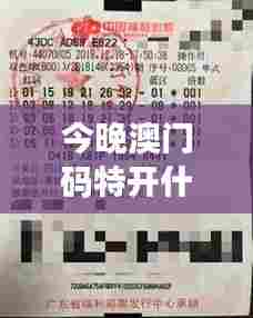 今晚澳门码特开什么号码？揭秘彩民期待的幸运数字