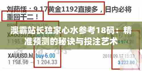 澳霸站长独家心水参考18码：精准预测的秘诀与投注艺术