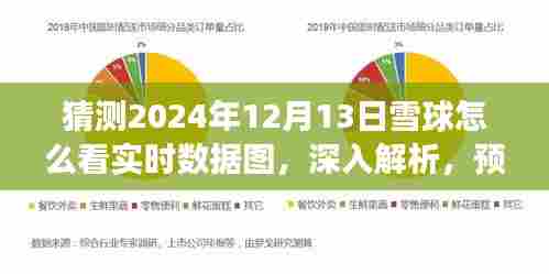 雪球实时数据图深度解析与预测，以未来视角洞察2024年12月13日的雪球数据展现趋势