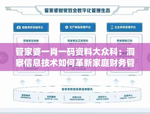 管家婆一肖一码资料大众科:洞察信息技术如何革新家庭财务管理