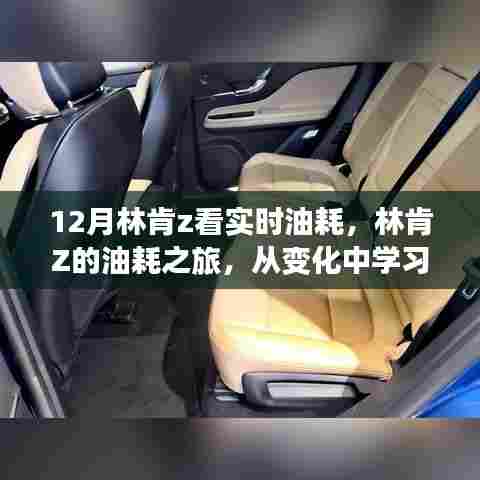 林肯Z的油耗之旅，自信与成就感的十二月奇迹之旅，实时油耗变化学习之路