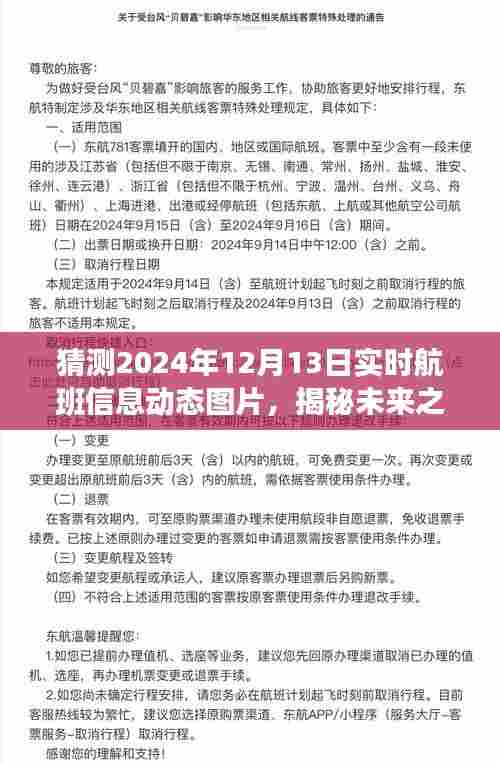 揭秘未来之门,预测与猜测2024年航班动态图像揭秘日(实时航班信息动态图片)