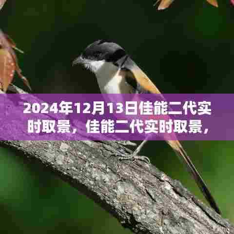 佳能二代实时取景，镜头下的温暖与友情纽带纪实纪实摄影分享