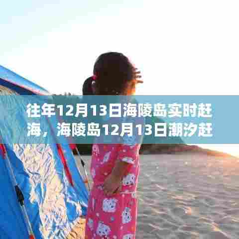 海陵岛潮汐赶海全攻略，从入门到满载而归，揭秘12月13日潮汐赶海技巧与实时赶海体验