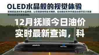 抚顺油价实时查询系统上线,掌握油价动态,科技领航助力油价资讯尽在指尖