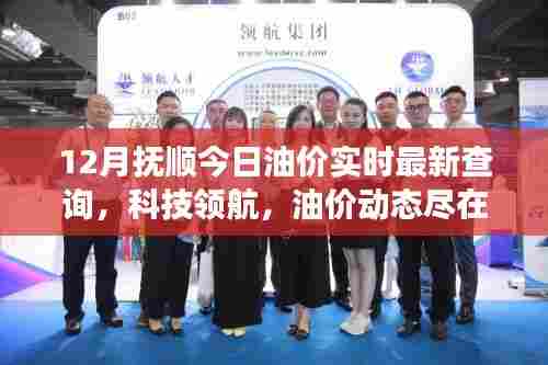 抚顺油价实时查询系统上线,掌握油价动态,科技领航助力油价资讯尽在指尖