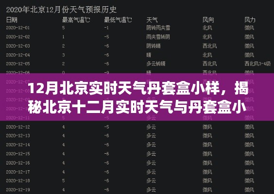 销声匿迹 第3页