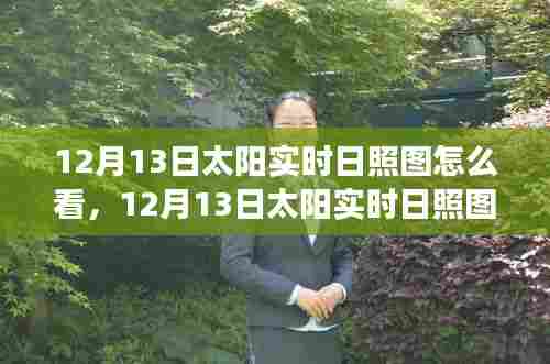 12月13日太阳实时日照图解读指南，如何查看与解读太阳实时日照图