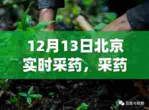 神采飞扬 第4页