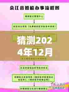 揭秘婚检过程，预测未来婚检实时图片详解（初学者与进阶用户指南）