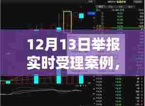12月13日举报实时受理案例解析及其价值与影响探讨