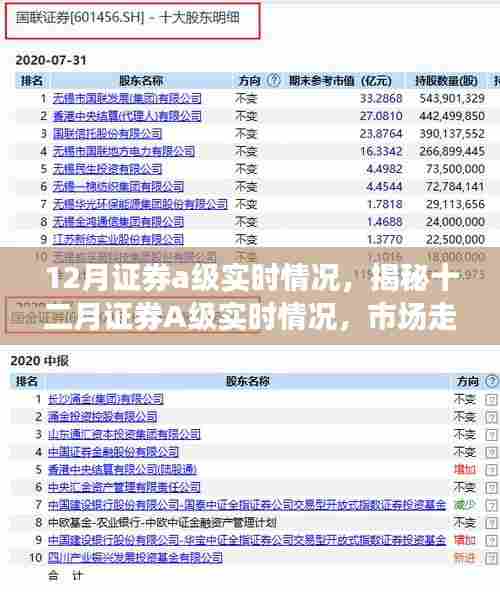 揭秘十二月证券A级实时动态，市场走势、行业聚焦与关键数据解读