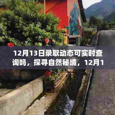 懵懵懂懂 第3页