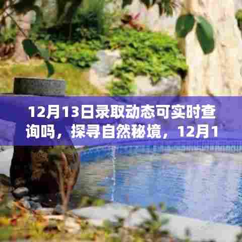 探寻自然秘境,轻松查询录取动态,开启旅行之旅的12月13日启程日