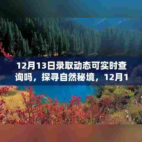 探寻自然秘境,轻松查询录取动态,开启旅行之旅的12月13日启程日